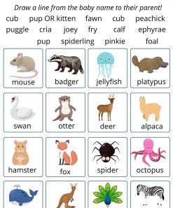 match animals and babies game