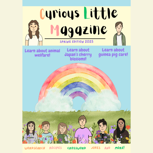 Curious Little Magazine