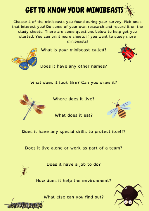 Minibeast Activity Pack - Curious Little Monkeys Educational Resources