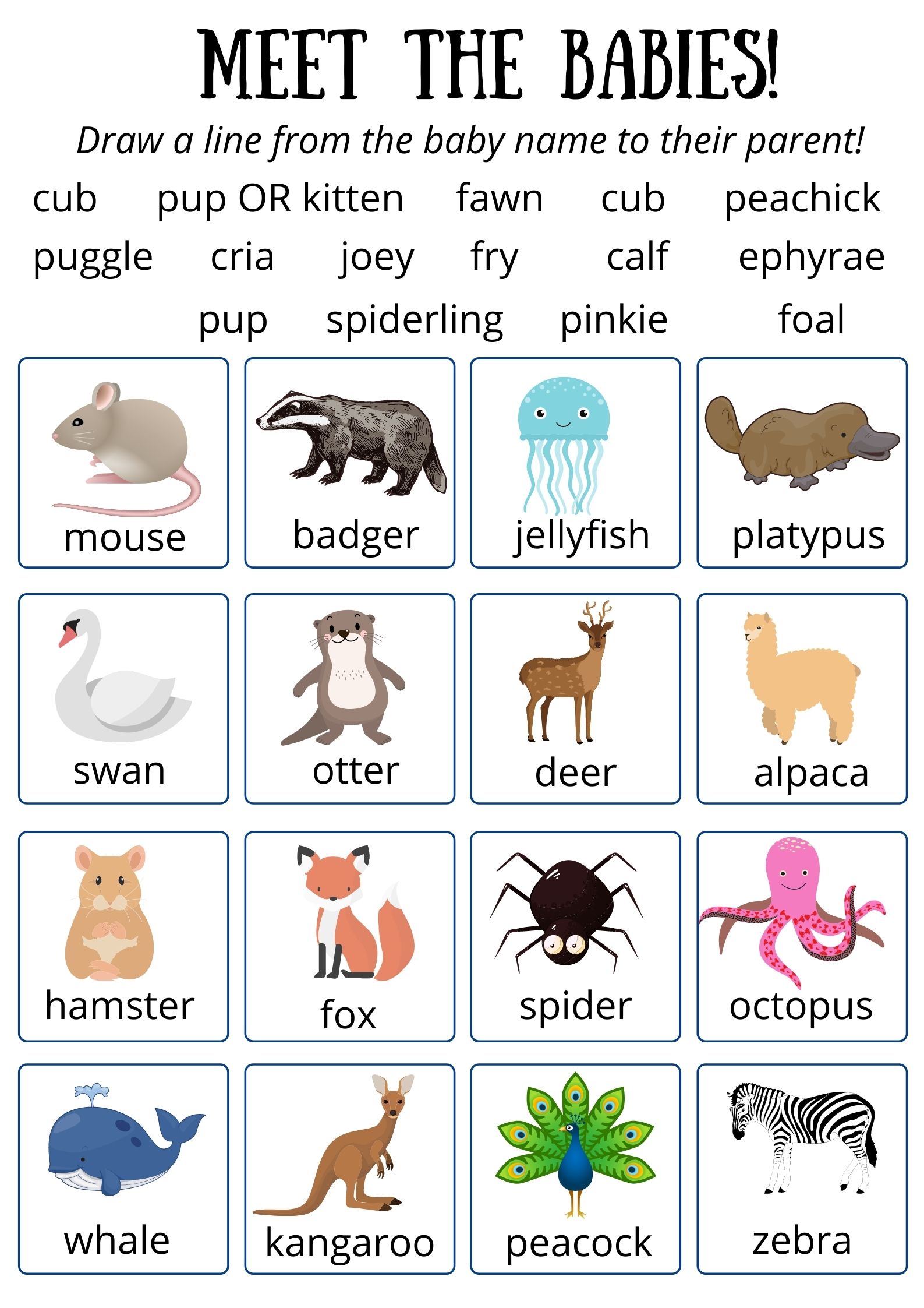 Otter Day Activities {PDF} - Curious Little Monkeys Educational Resources